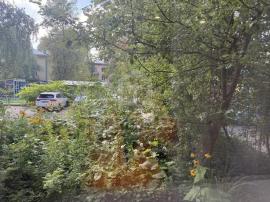 , 1-комн., Санкт-Петербург