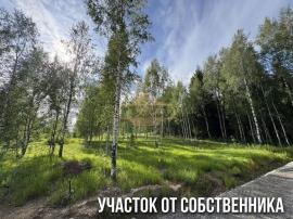 , Всеволожск