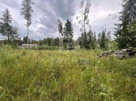 , Всеволожск