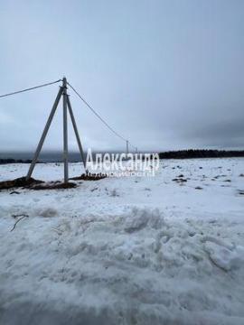 , Волосово