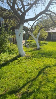 Аренда домов, 5-комн., Тосно