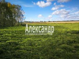 Участки, Волосово