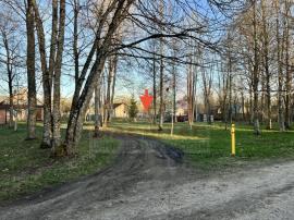 , Волосово