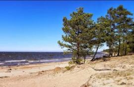 Участки, Сосновый Бор