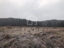 , Выборг