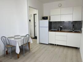 Аренда квартир, 1-комн., Всеволожск