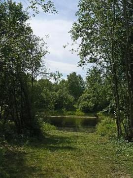 , Санкт-Петербург
