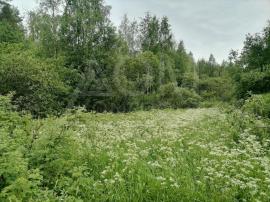 Участки, Приозерск