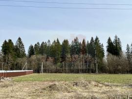 Участки, Волосово