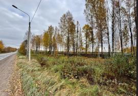 , Всеволожск