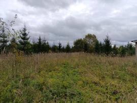 Участки, Волосово