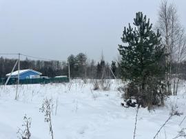 Участки, Тосно