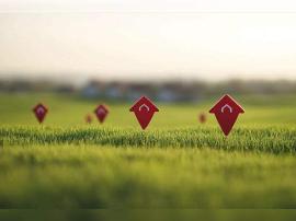 Участки, Бокситогорск