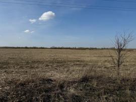 , Санкт-Петербург
