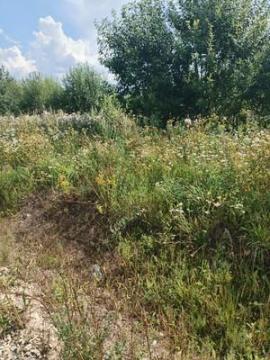 , Санкт-Петербург