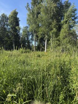 Участки, Приозерск