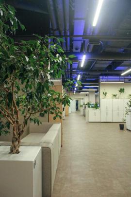 , Санкт-Петербург