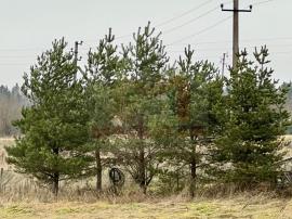 Участки, Волосово