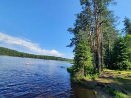 , 4-комн., Всеволожск