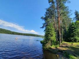 , 4-комн., Санкт-Петербург