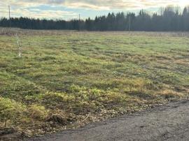 , Санкт-Петербург