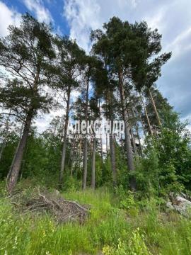 Участки, Приозерск