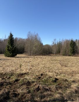 Участки, Ленинградская область